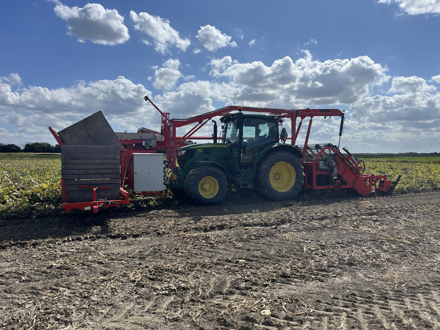 Hegro Pompoenoogster PH03