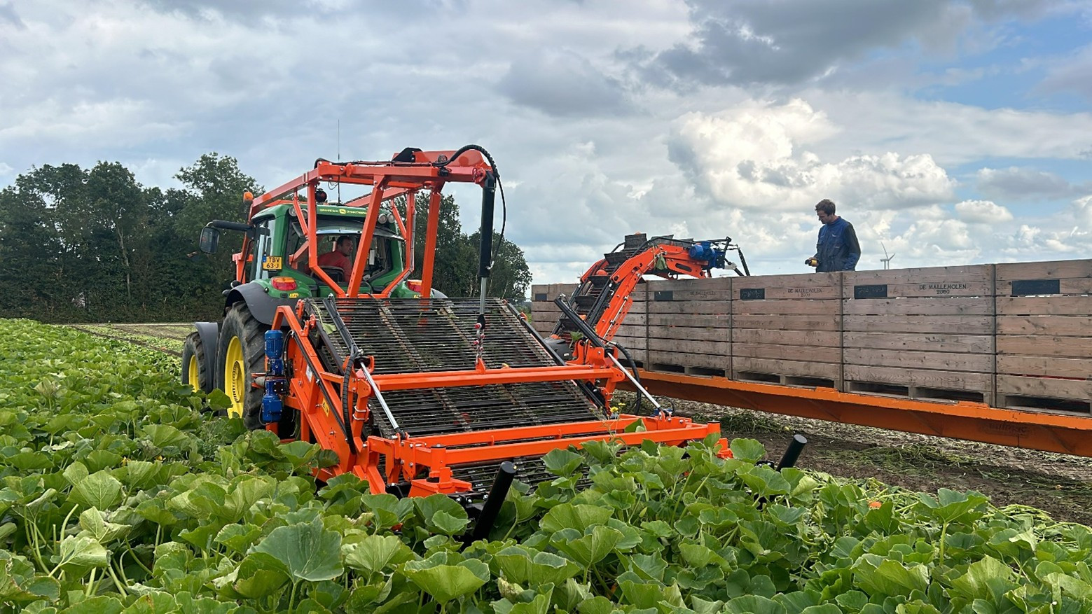 Hegro Pompoenoogster PH02